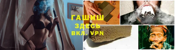 стафф Дмитриев