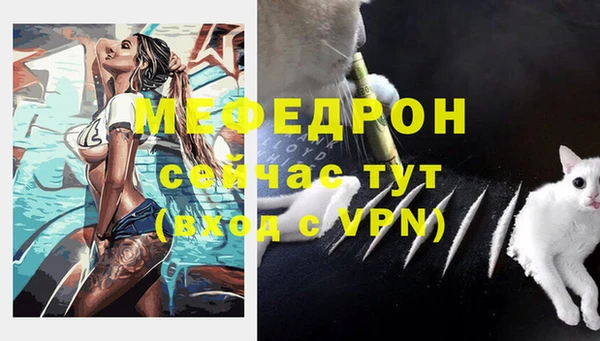 стафф Дмитриев