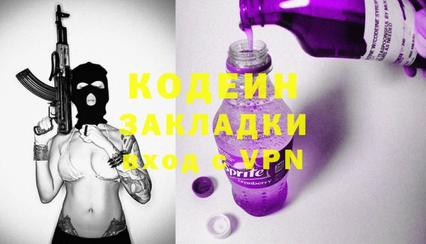 индика Гусев