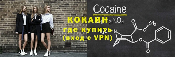 стафф Дмитриев
