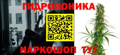 амф Берёзовский