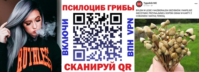 Галлюциногенные грибы Cubensis  ссылка на мегу сайт  Ефремов 