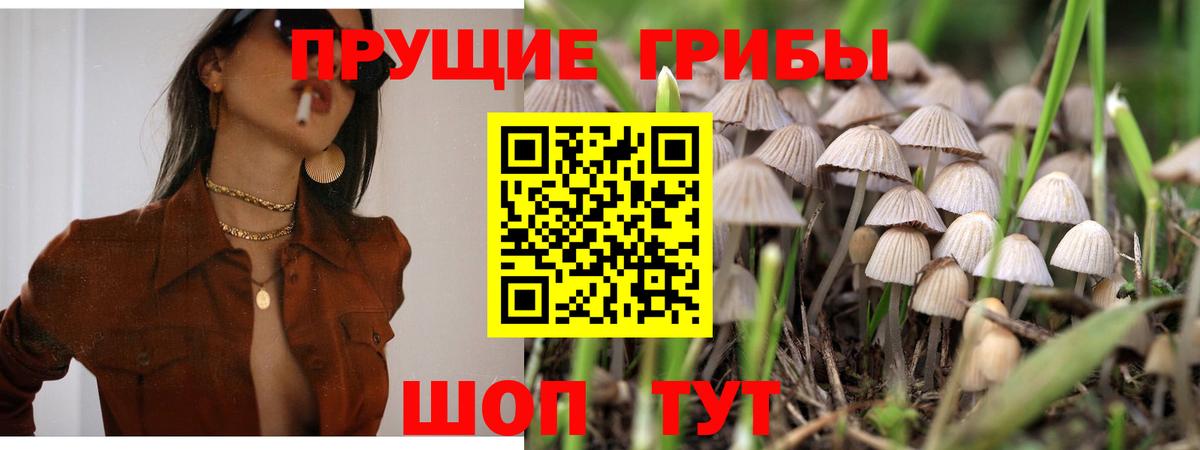 Псилоцибиновые грибы GOLDEN TEACHER Ефремов